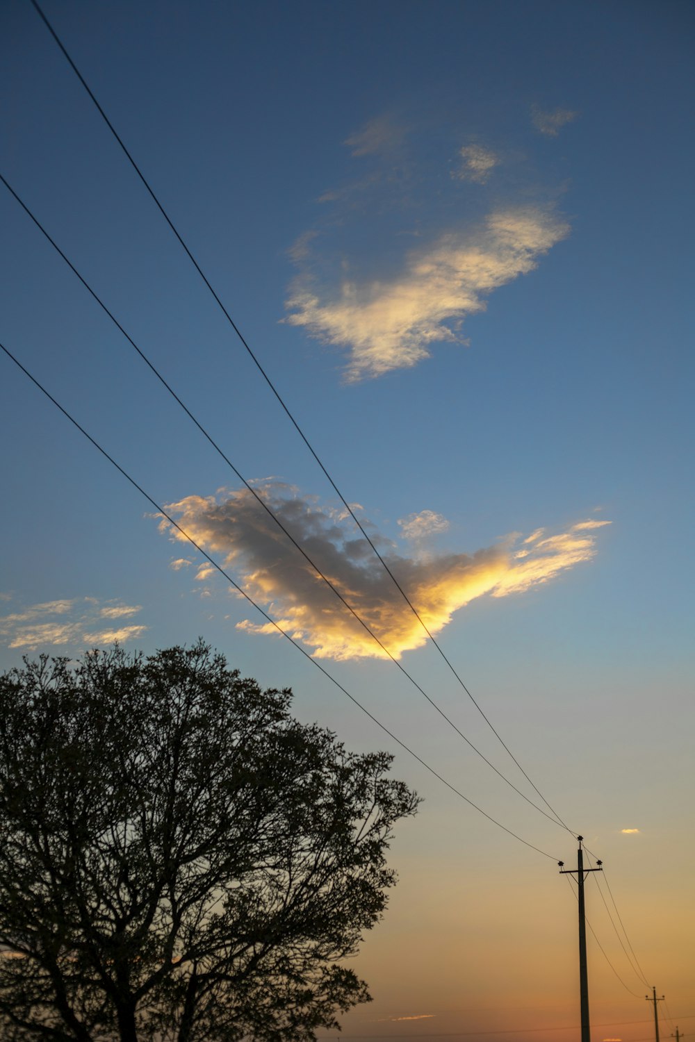 the sun is setting behind power lines and a tree