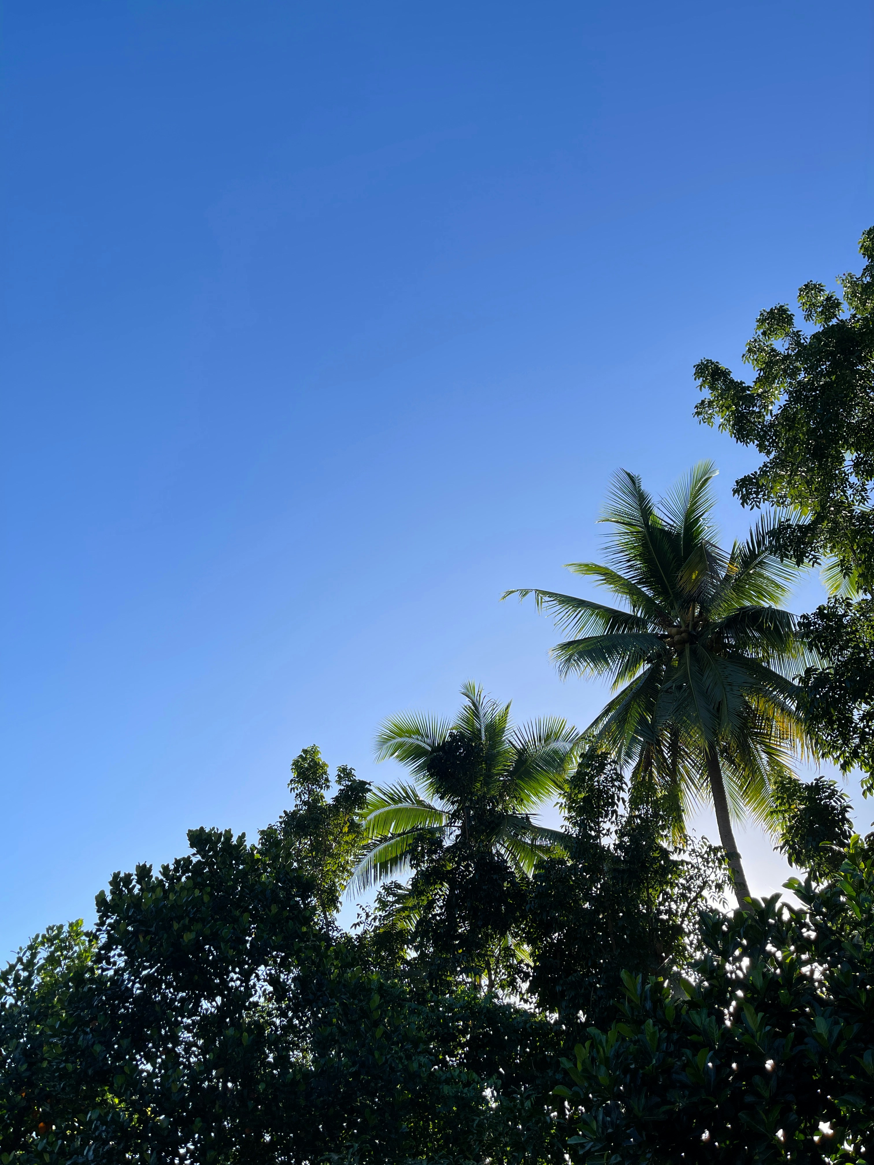 Photo by kendrewgrey