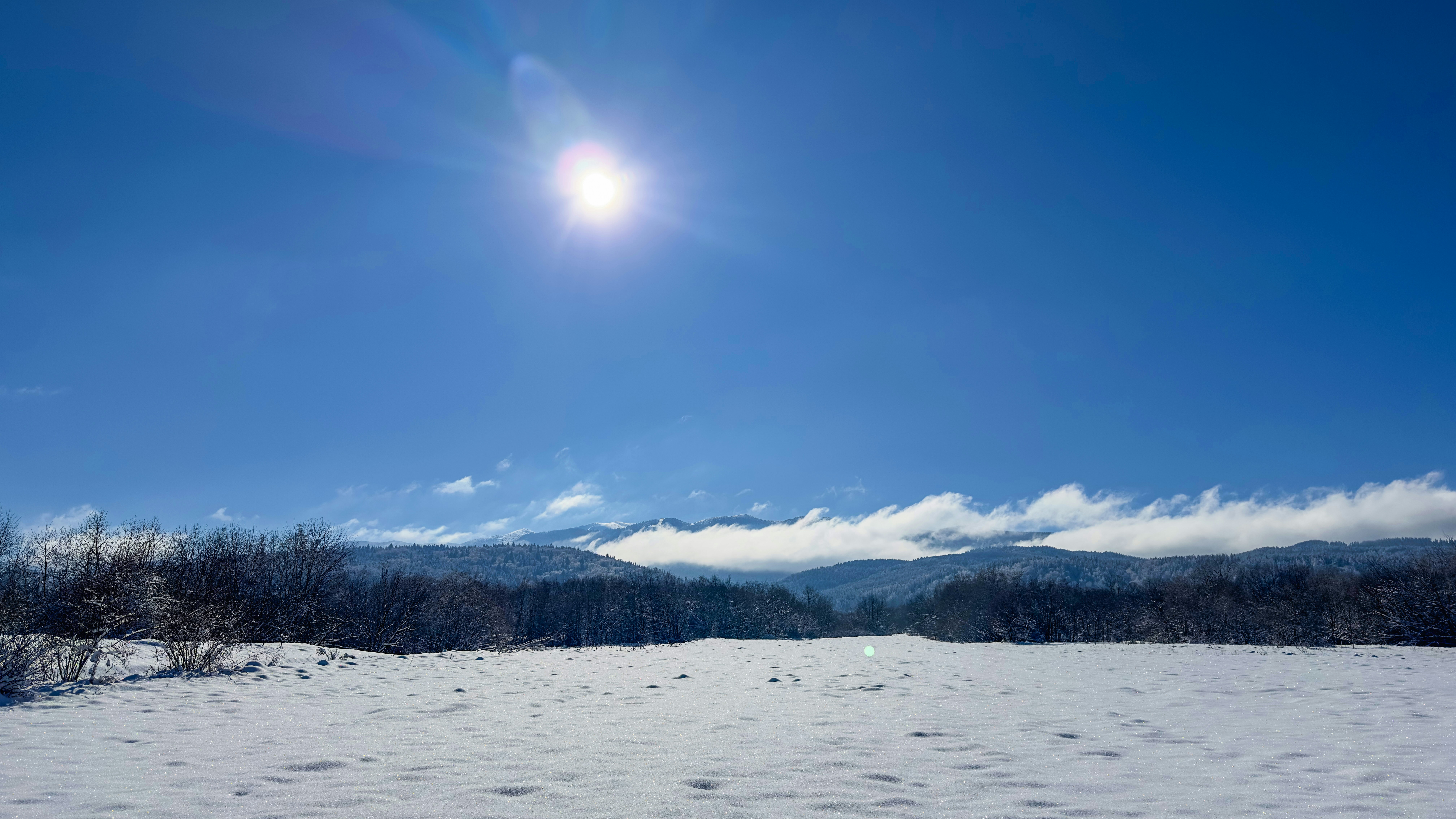 Photo by archange1michael