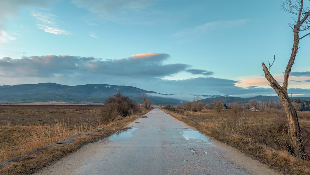 a road with a puddle of water on the side of it