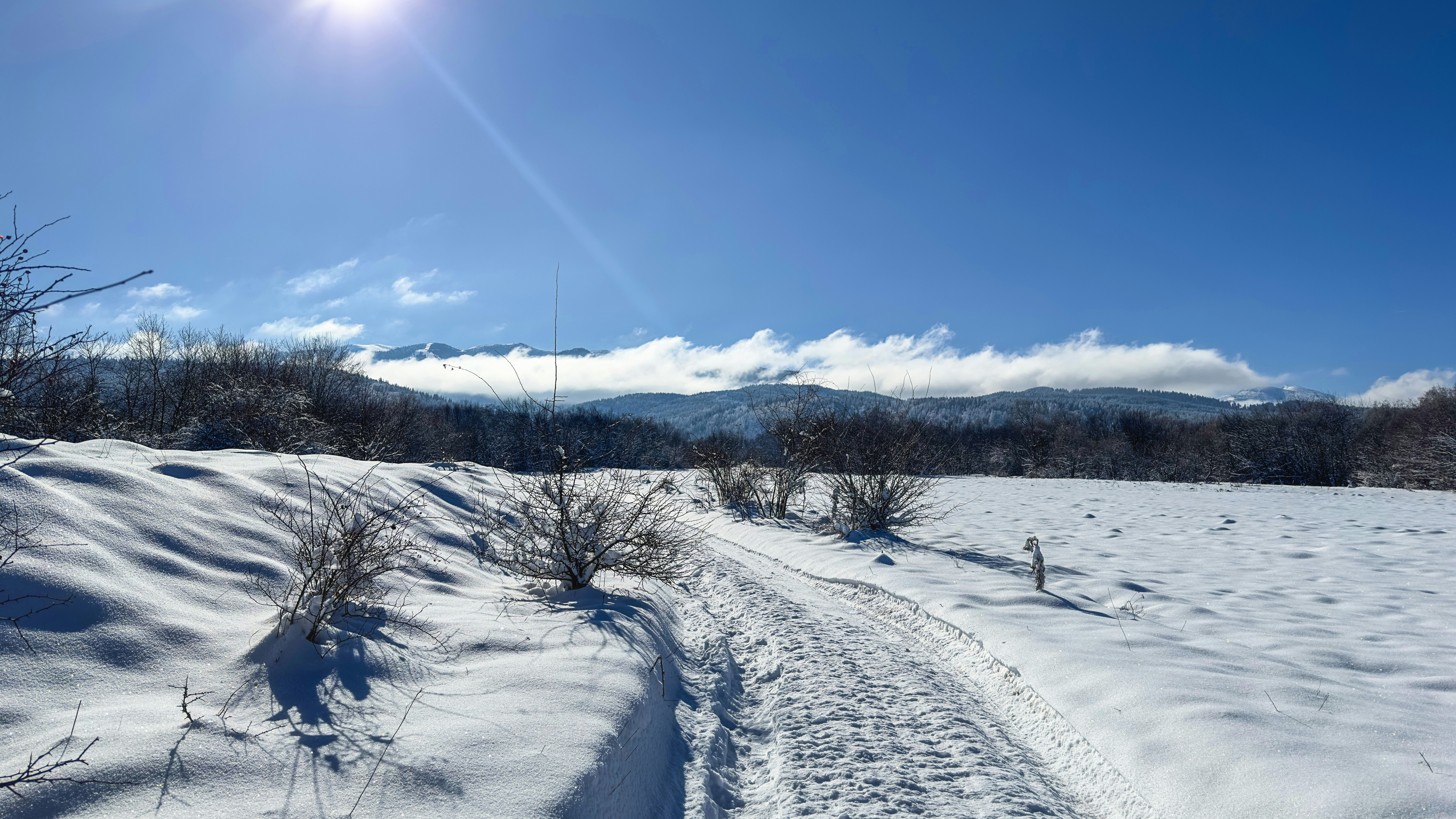 Photo by archange1michael