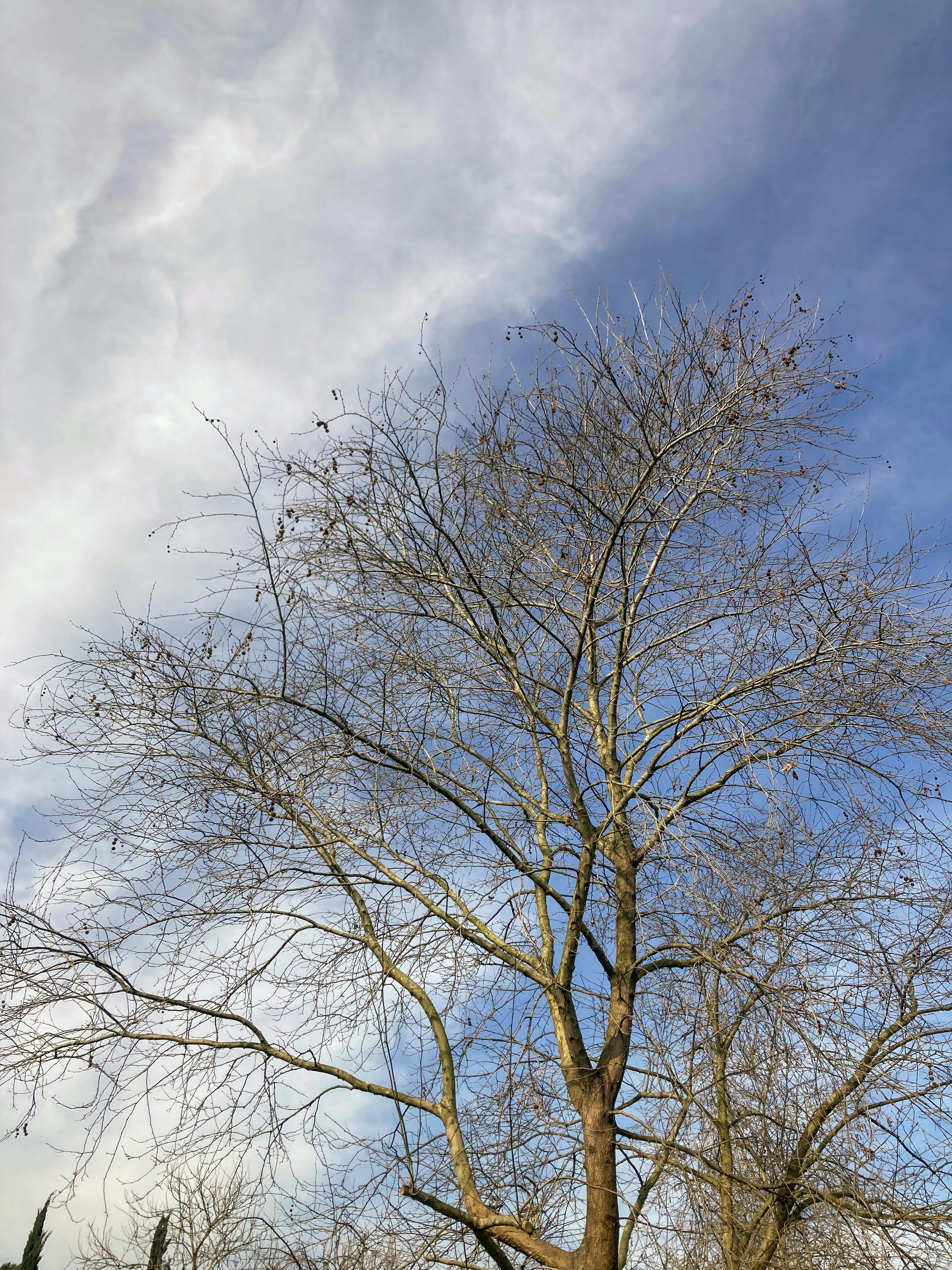 Photo by tolgakocoglu