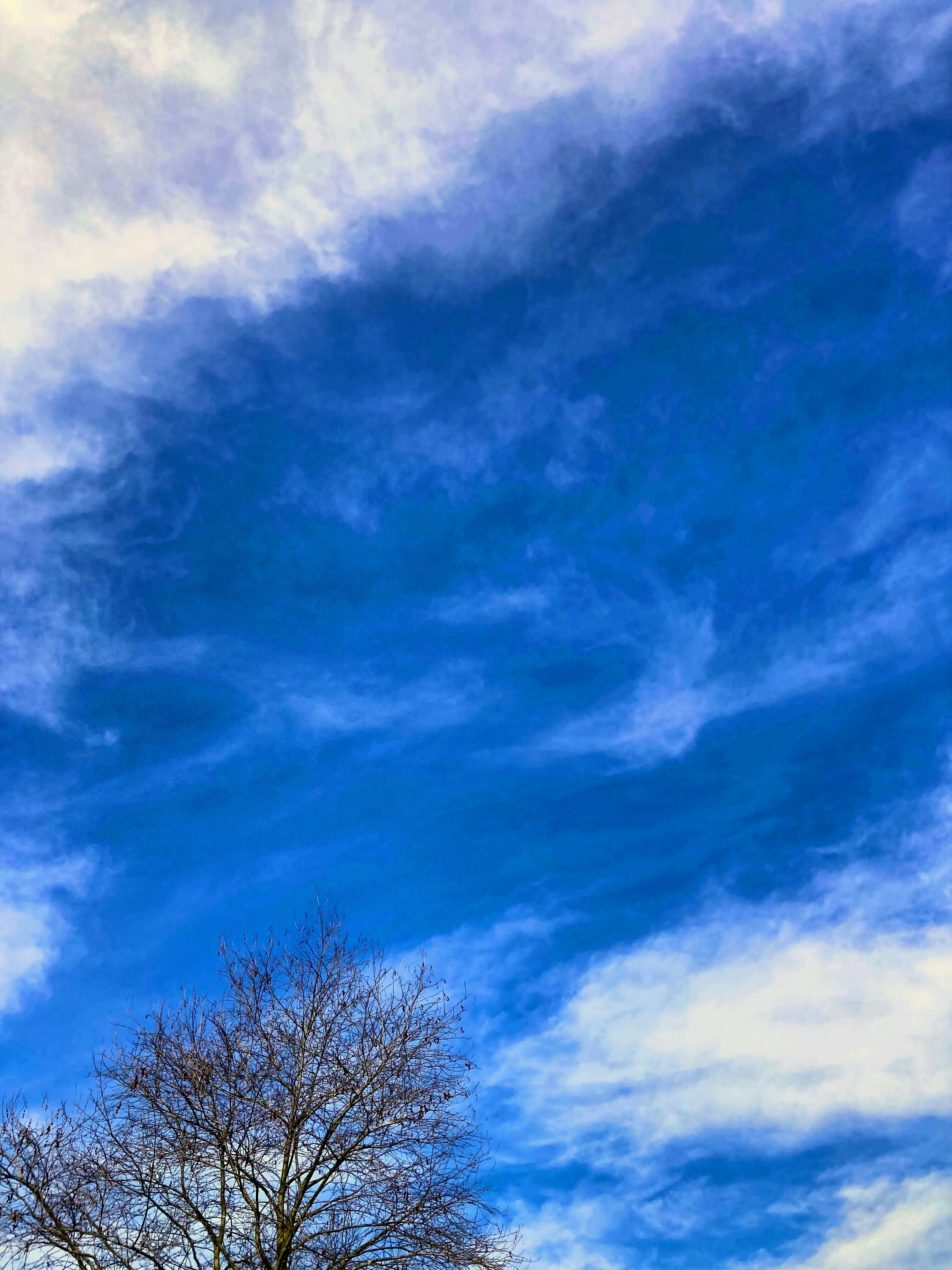 Photo by tolgakocoglu