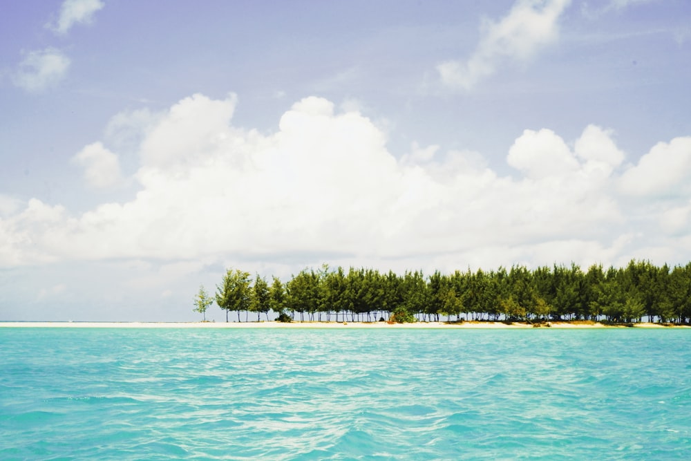 a small island in the middle of a body of water