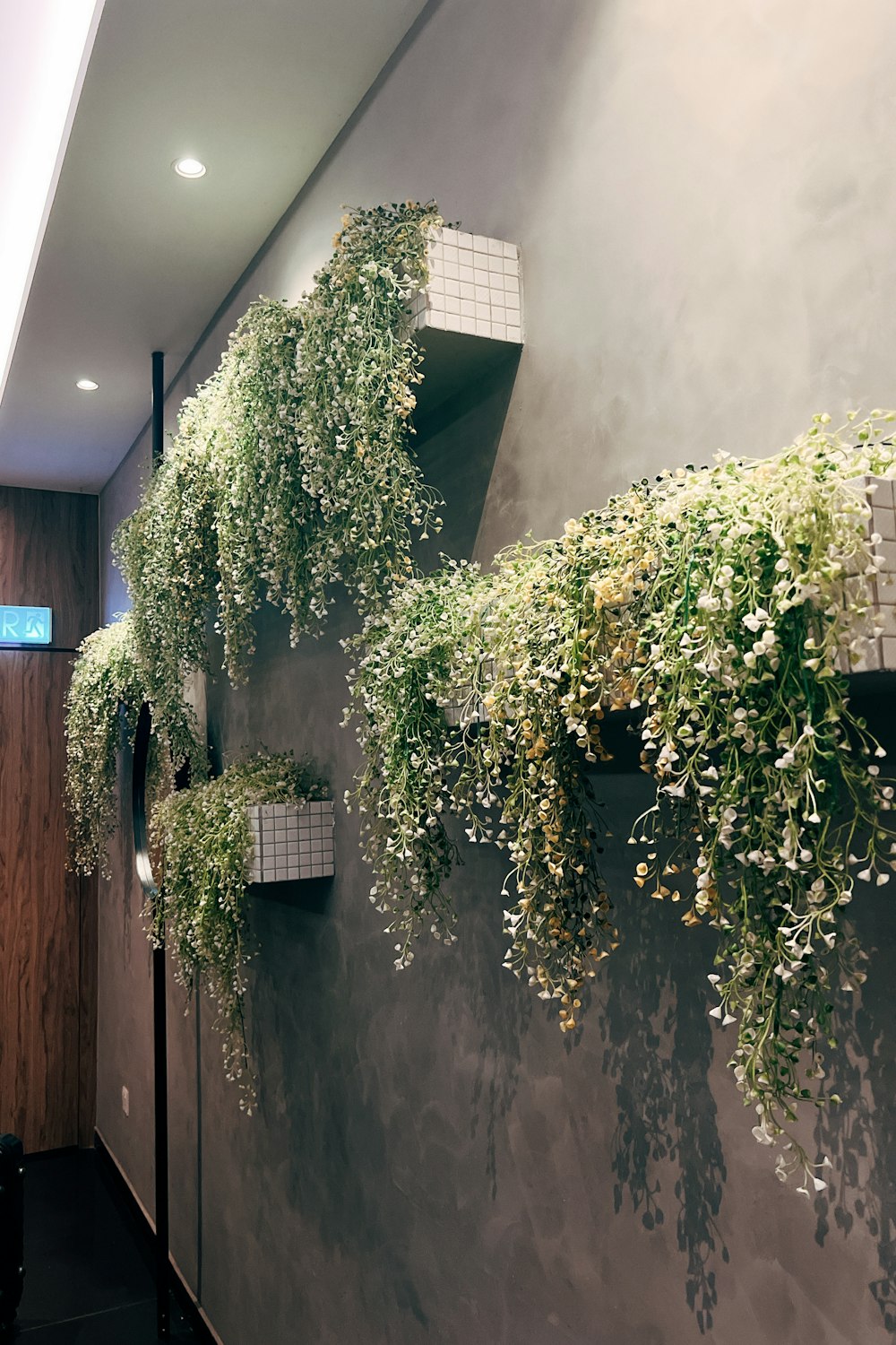 a wall with a bunch of plants growing on it