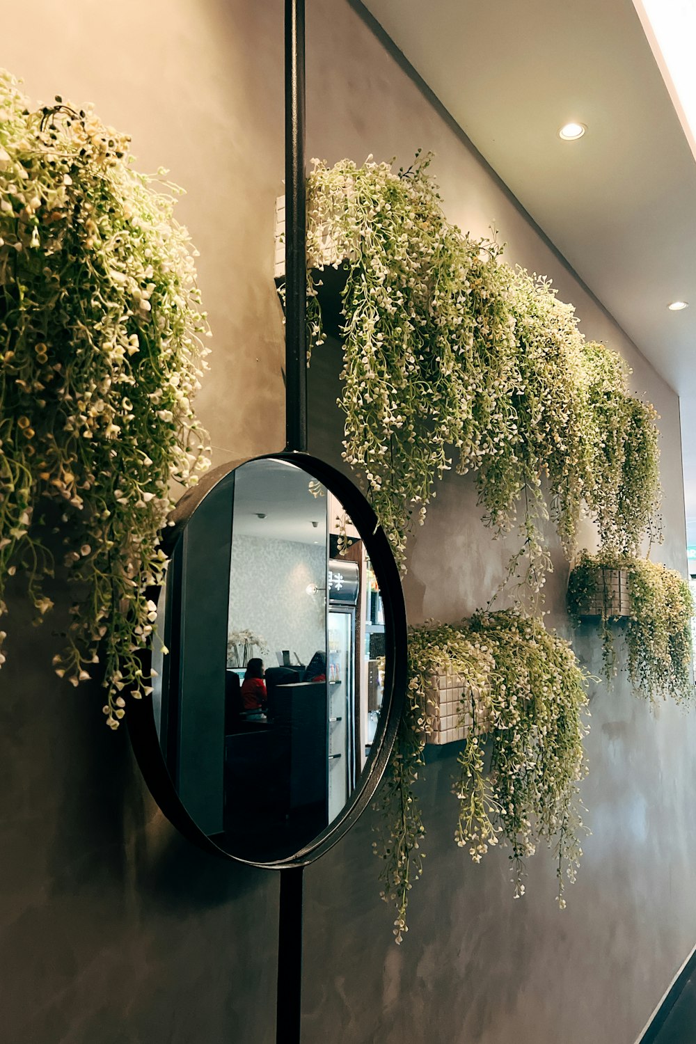 a mirror on a wall with a bunch of plants on it