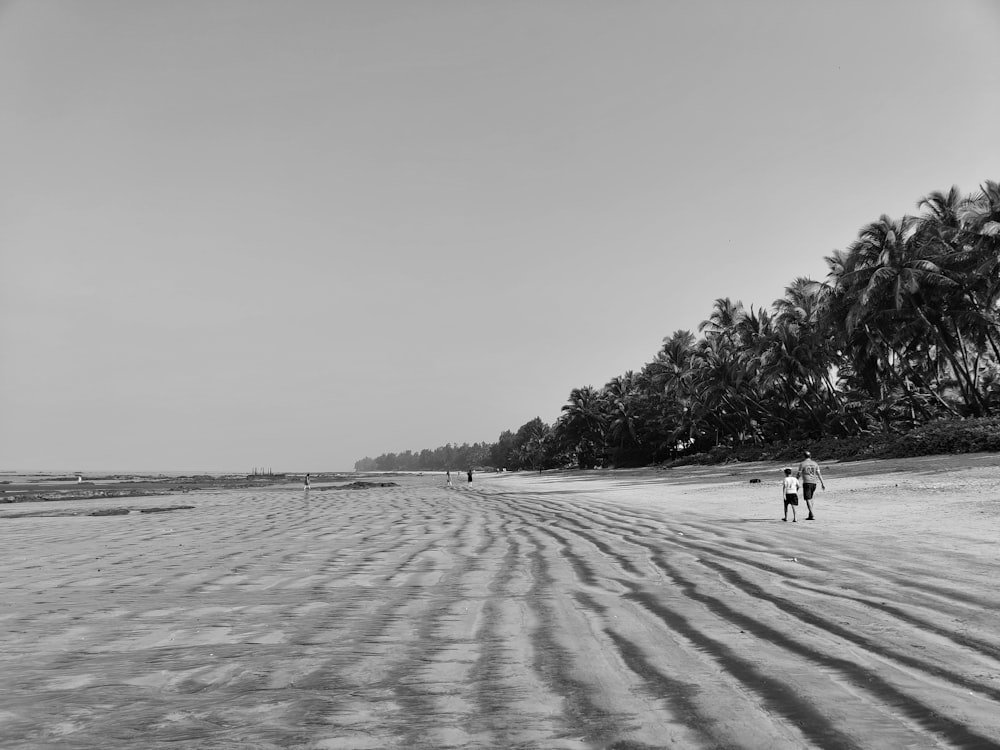 a couple of people walking across a sandy beach