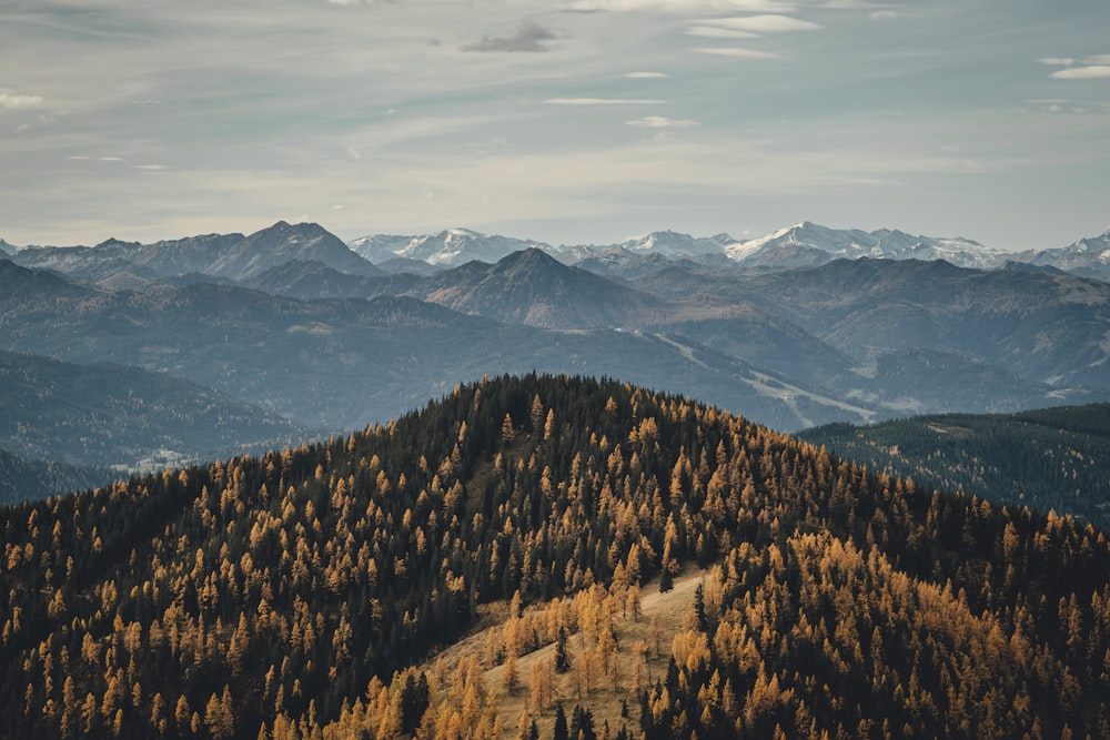 a view of a mountain range with trees in the foreground