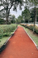 a long red path in a park lined with trees