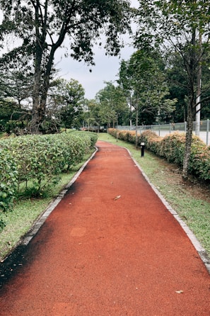 a long red path in a park lined with trees