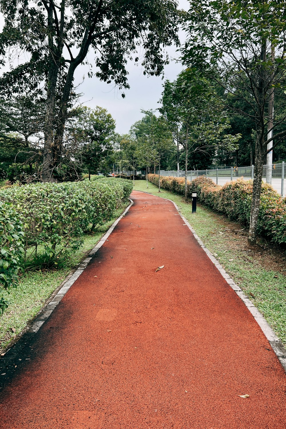 a long red path in a park lined with trees