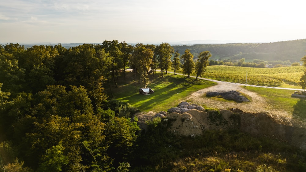 an aerial view of a grassy area with trees and a road