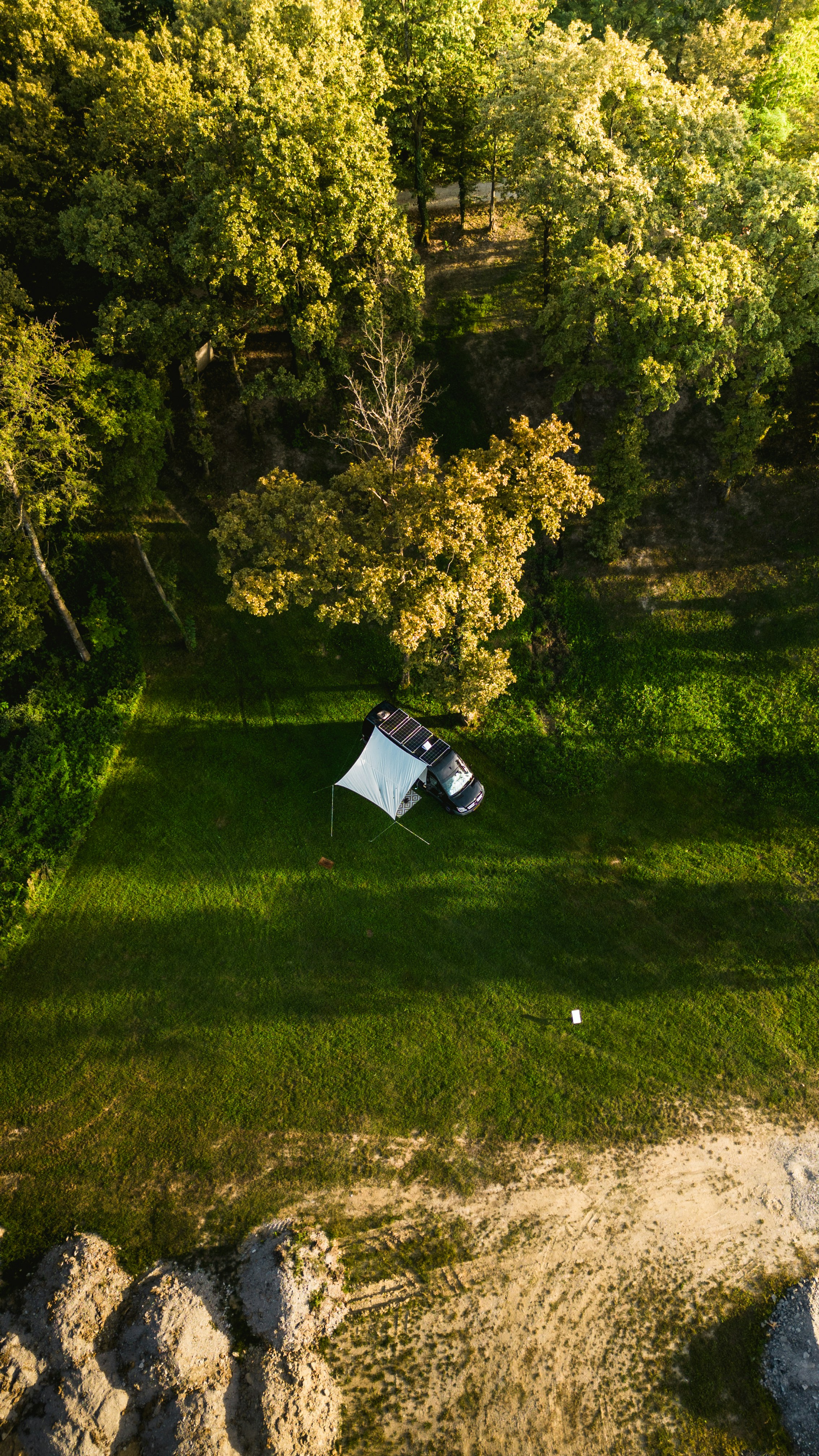 Solar panel propped against a van in a forest clearing, overcast sky, green pine trees, dark ground