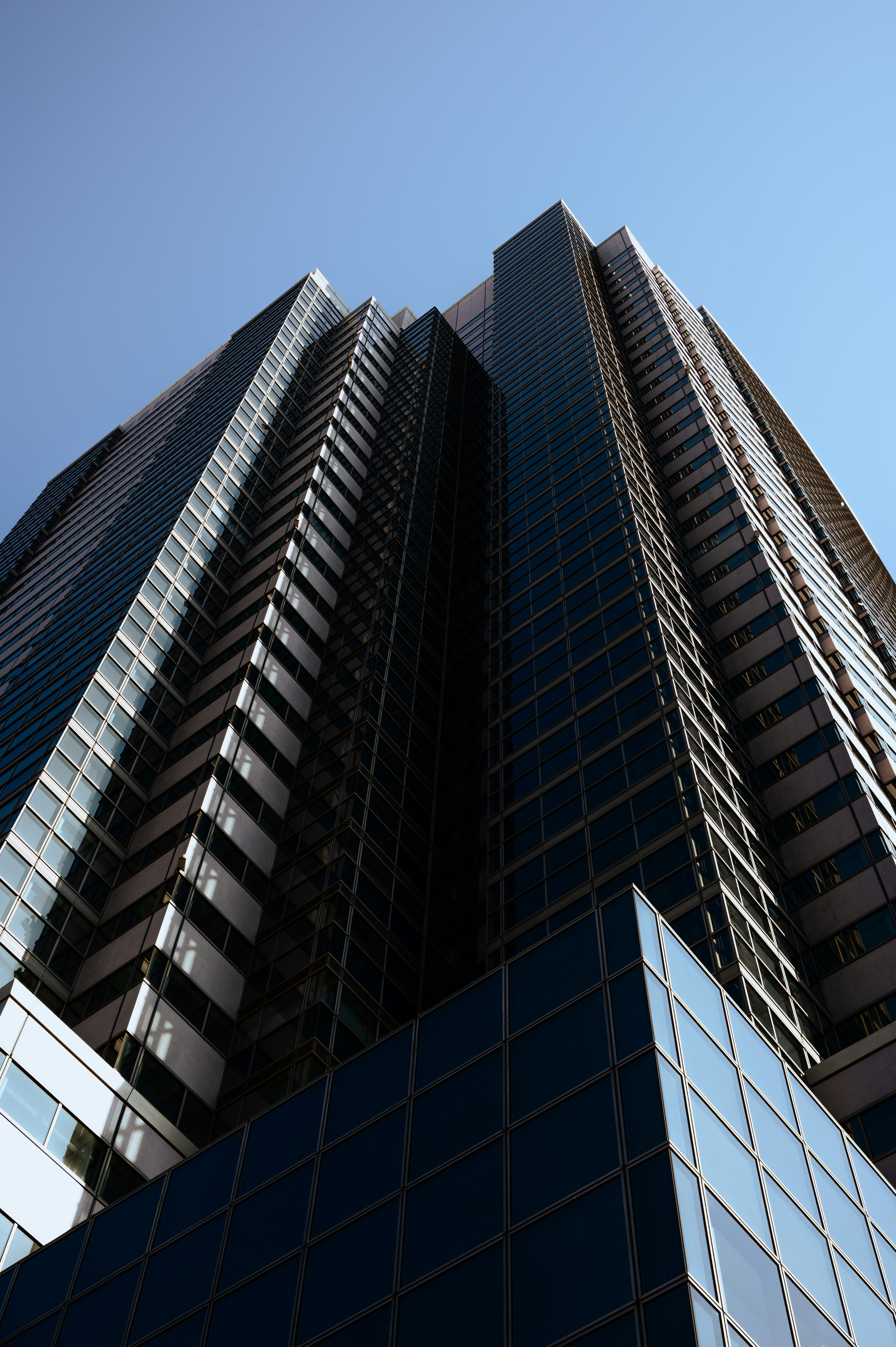 Photo by ryunosuke_kikuno