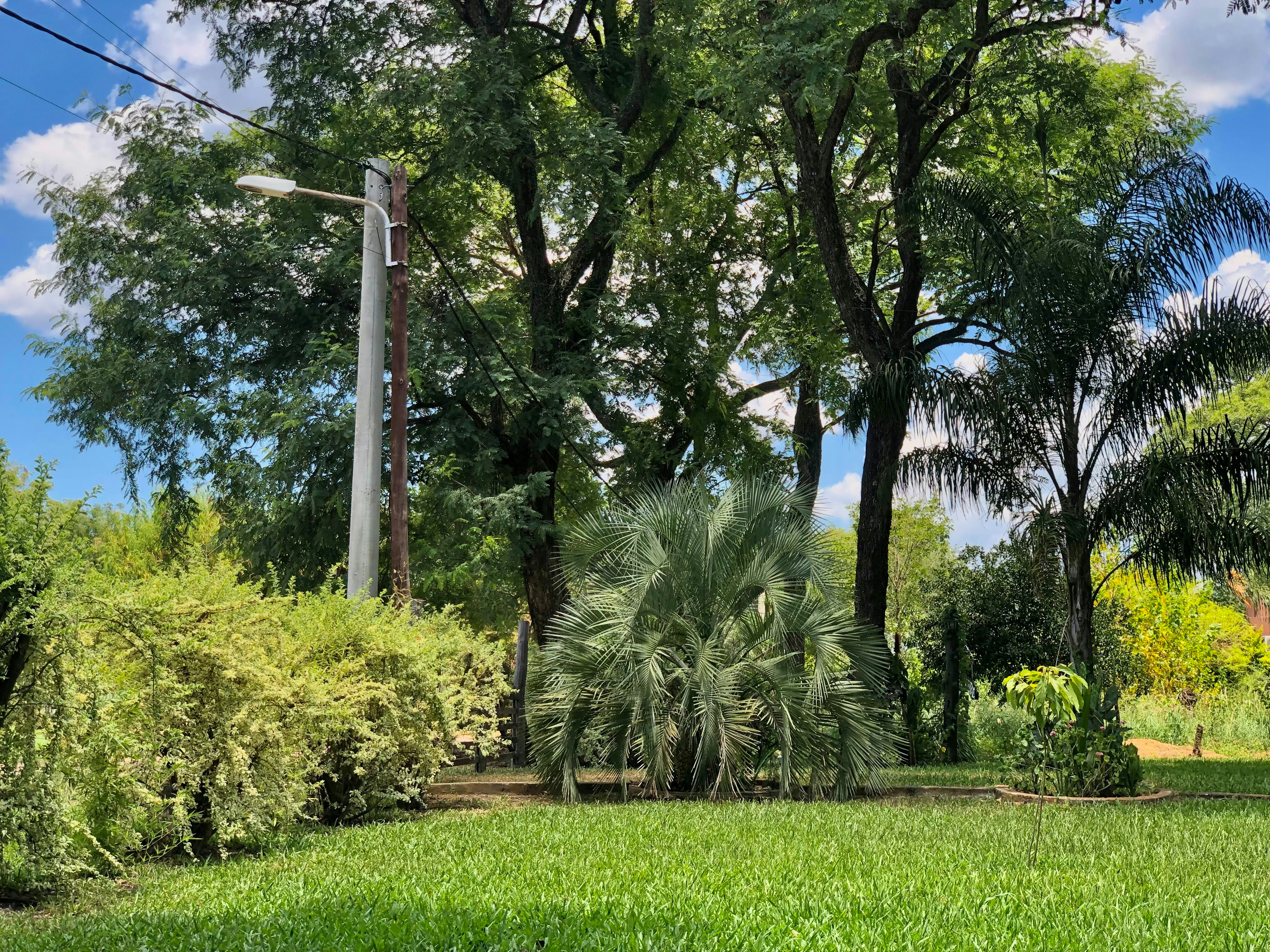 Hacienda Menu Near Me