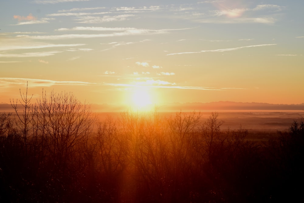 the sun is setting over the trees in the distance