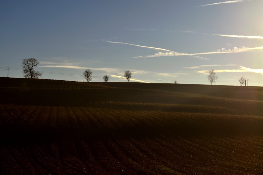 the sun is shining over a field with trees