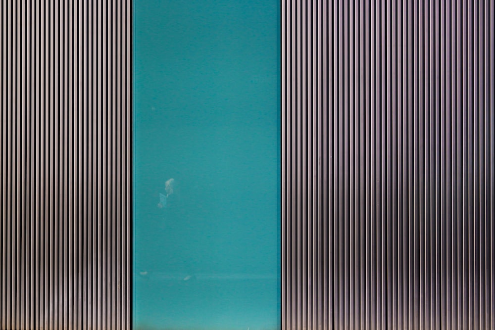 a cat sitting on a bench in front of a blue wall