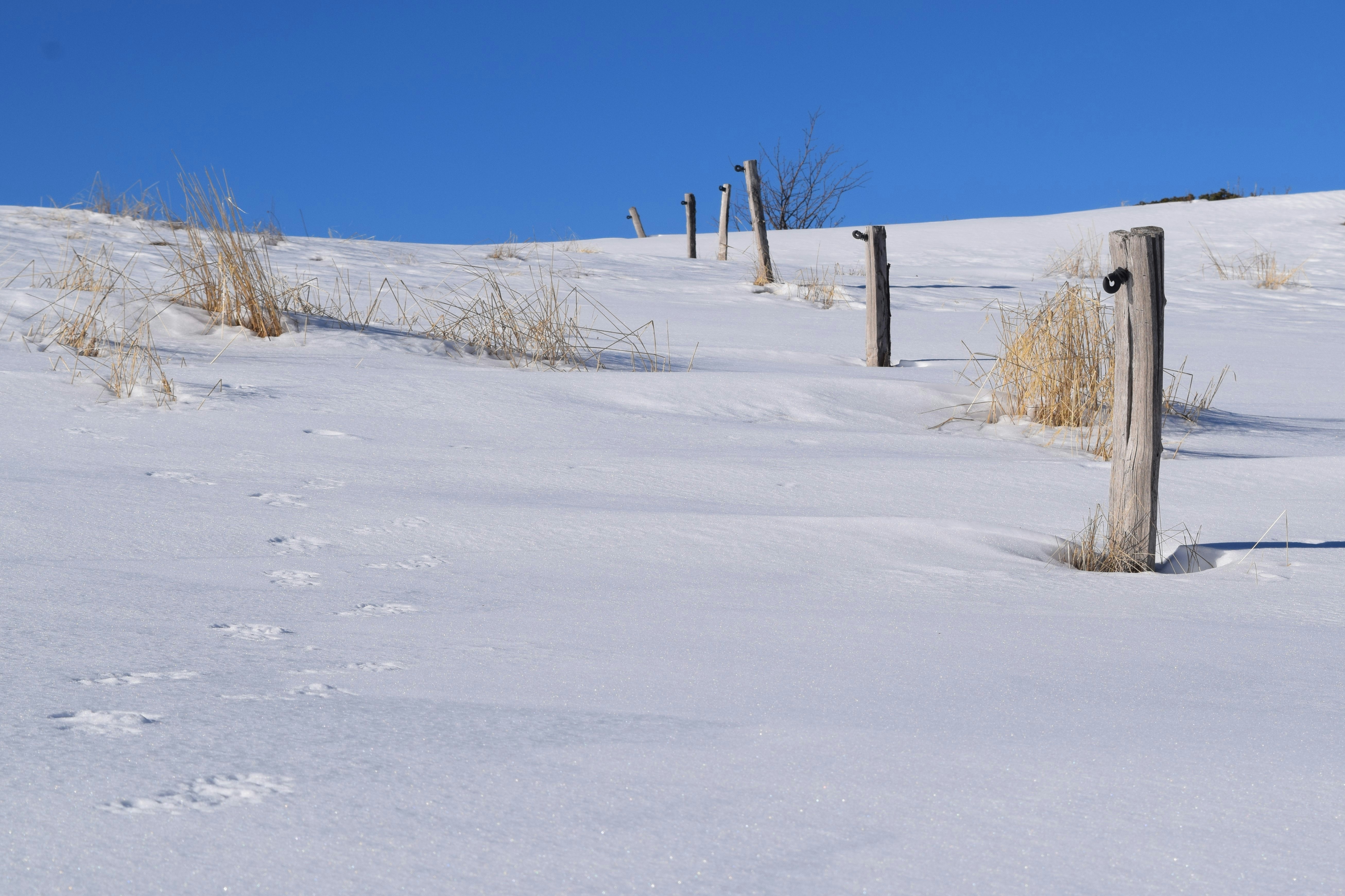 a snow covered hill with a wooden post in the middle of it