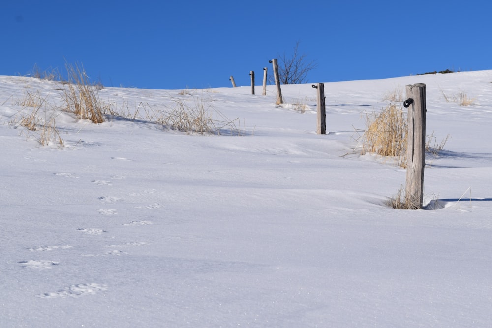 a snow covered hill with a wooden post in the middle of it