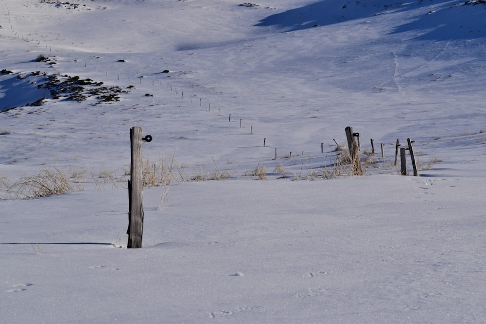 a snow covered field with a fence and a hill in the background