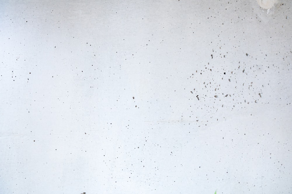 a white wall with a bunch of dirt on it