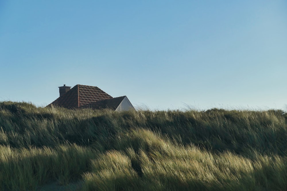 a house sitting on top of a lush green hillside