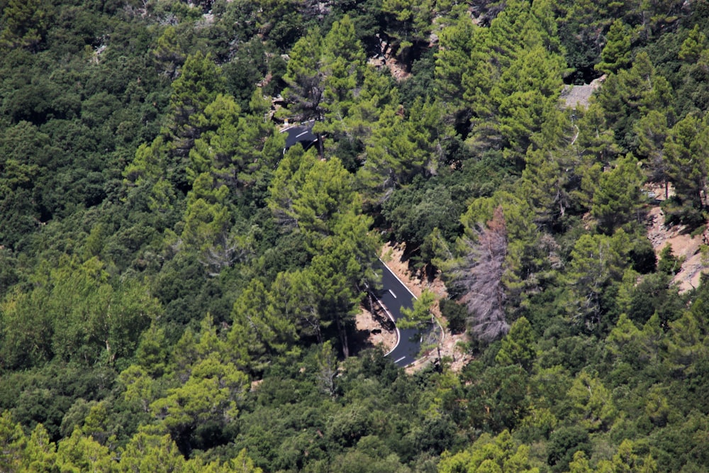 an aerial view of a road surrounded by trees