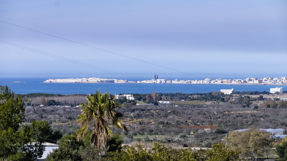 a view of a city and a body of water