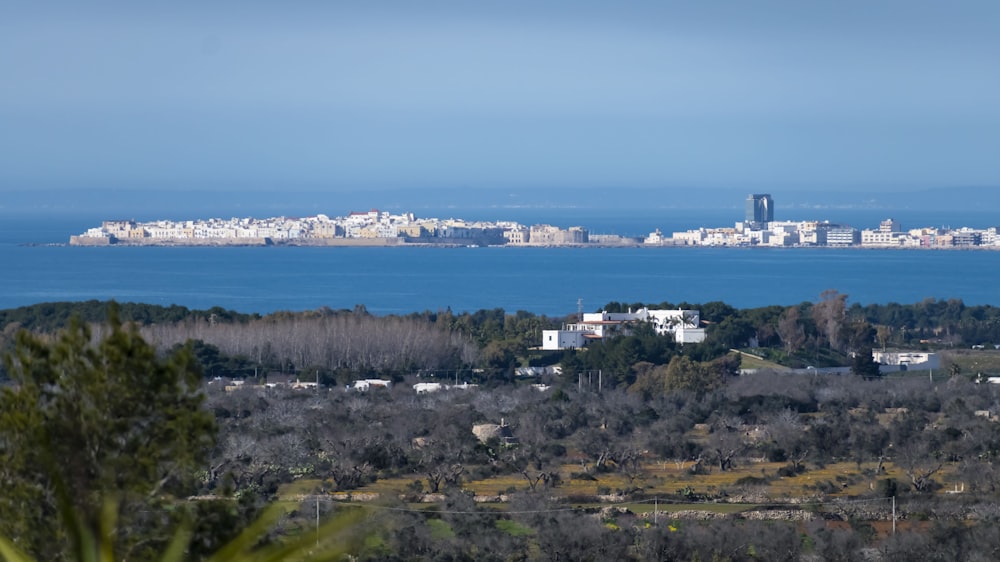 a view of a city and a body of water