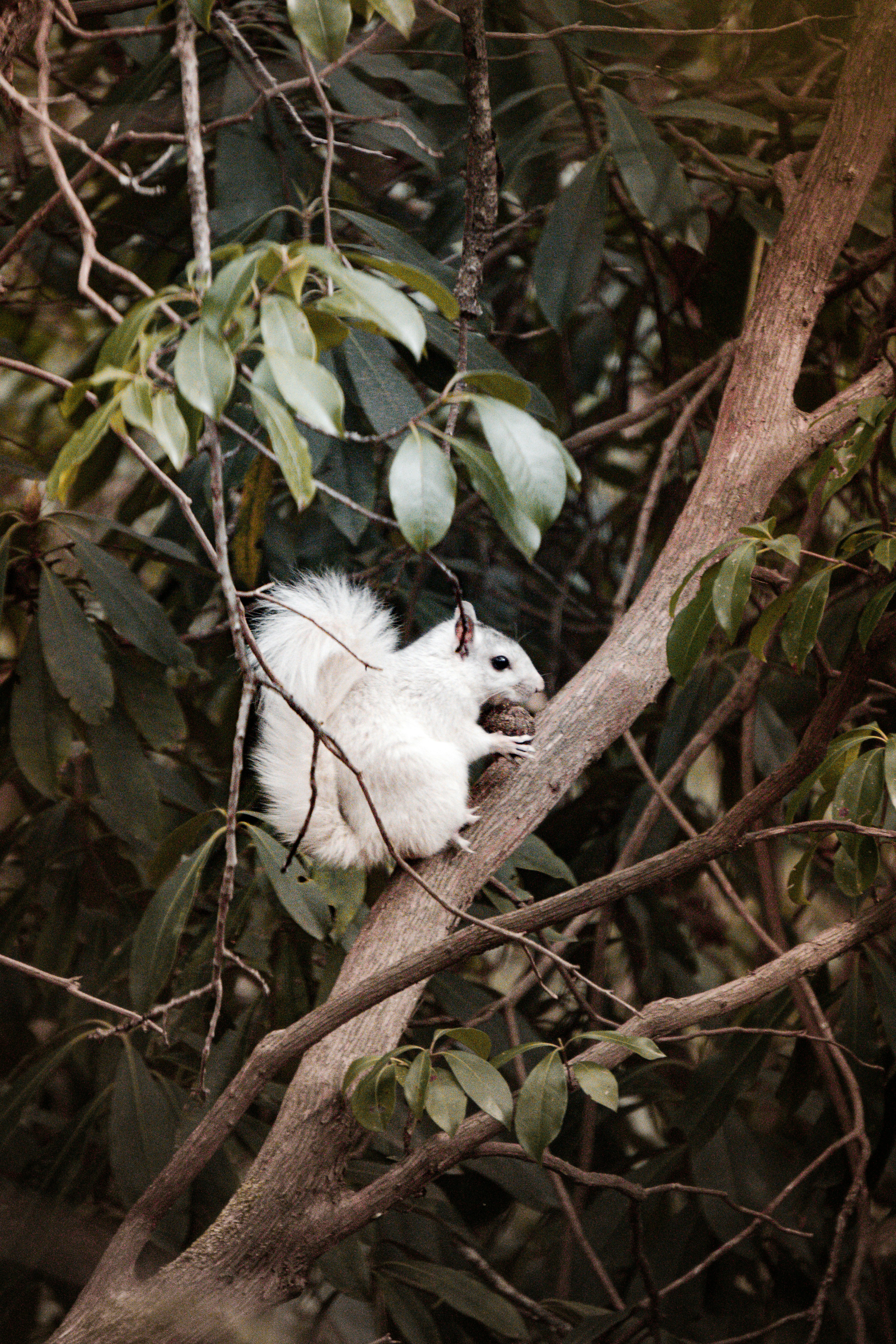 Photo by angelicateranp