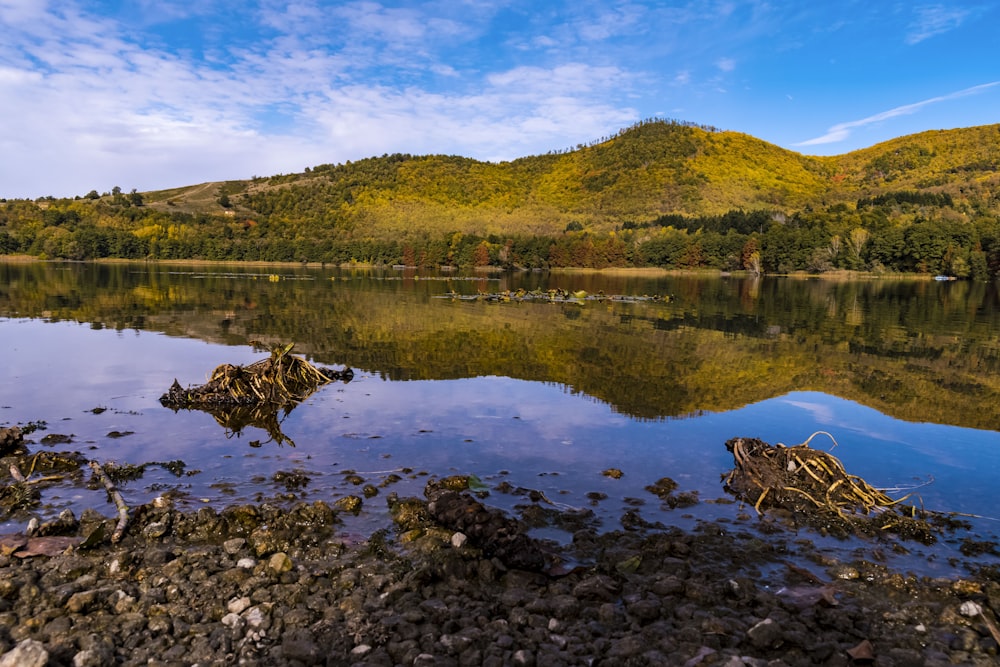 a body of water surrounded by a lush green hillside