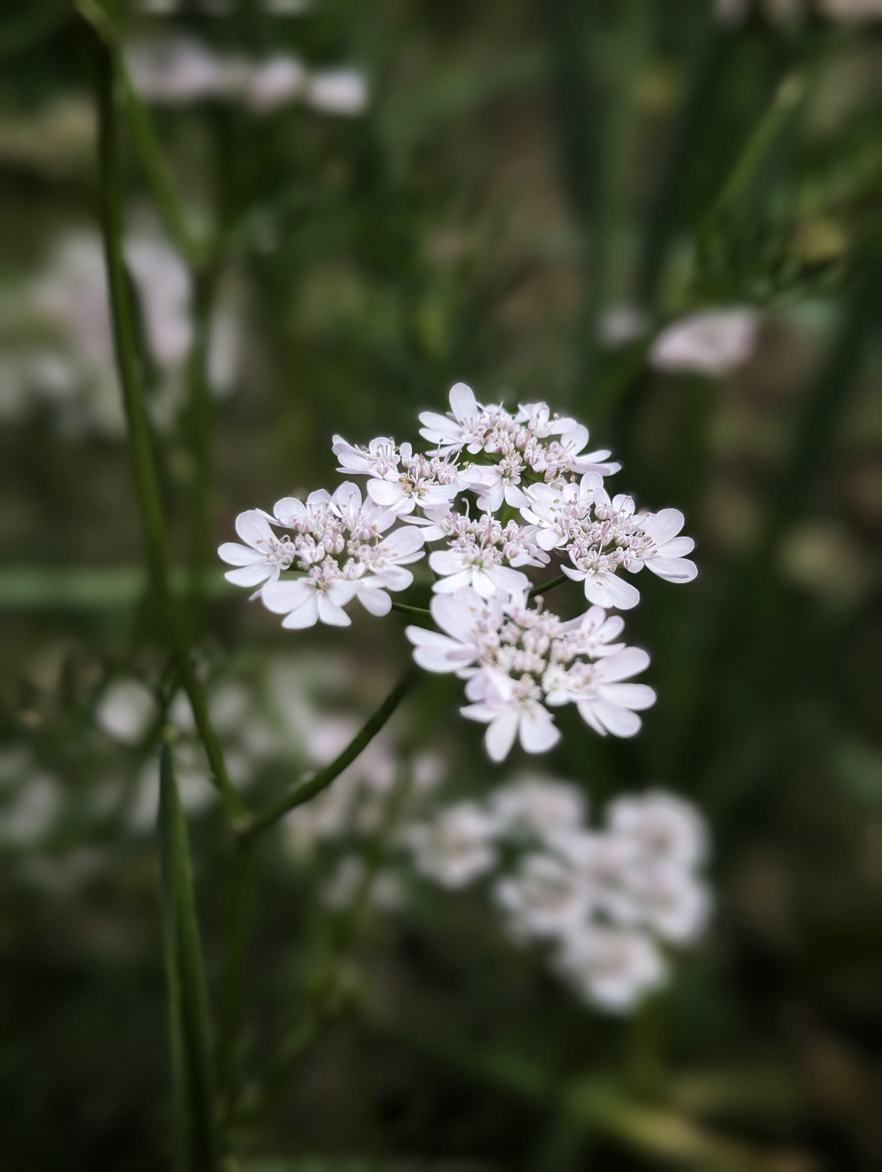 Photo by sudhanshu221b