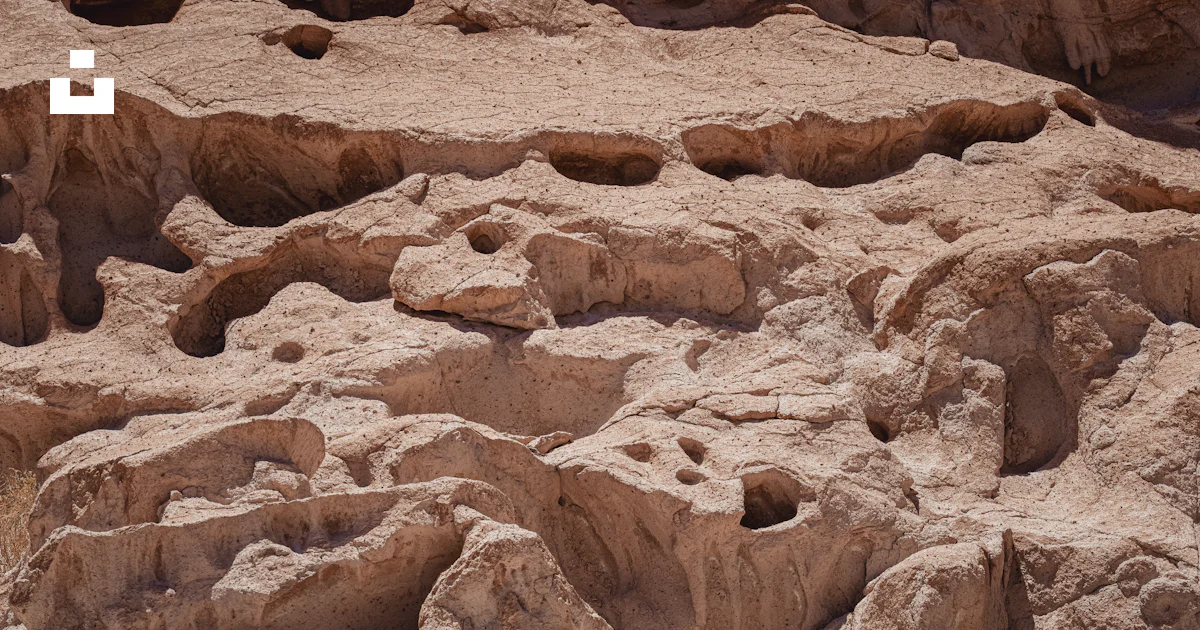 Chile Rocks Zoomed In A group of rocks with holes in them photo – Free Chile Image on Unsplash