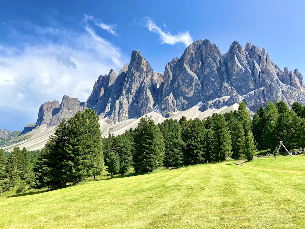 a grassy field with trees and mountains in the background