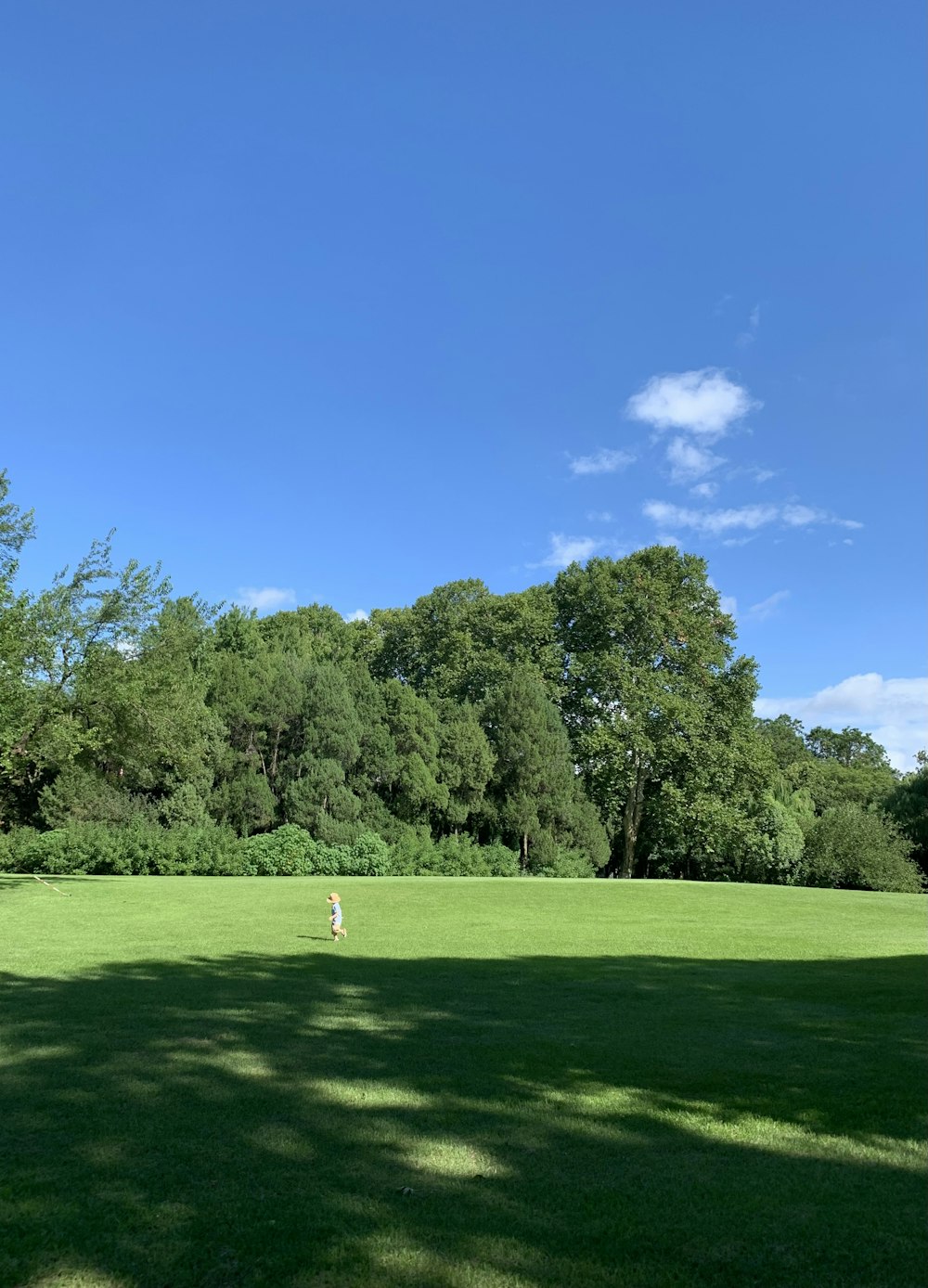 a person standing on a lush green field under a blue sky