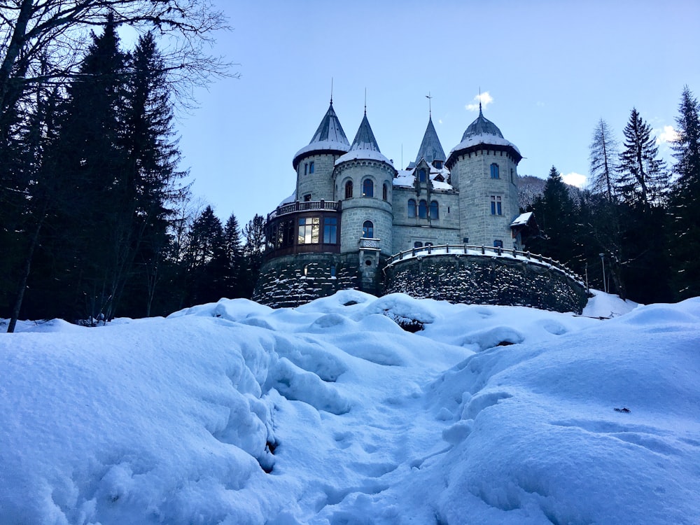 a castle in the middle of a snowy field