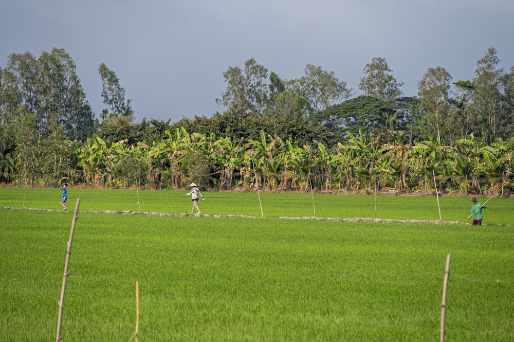 a group of people walking across a lush green field