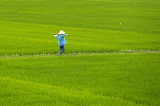 a person in a field with a hat on