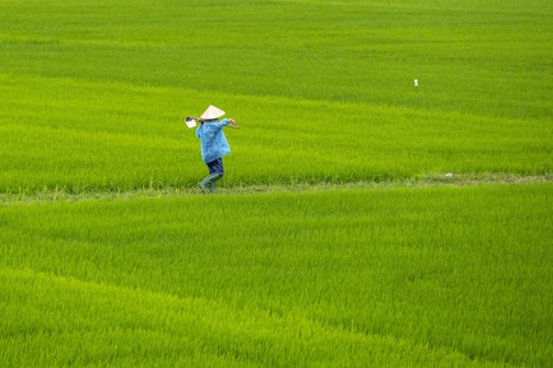 a person in a field with a hat on