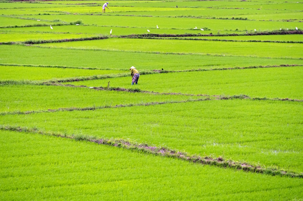una persona parada en un gran campo verde