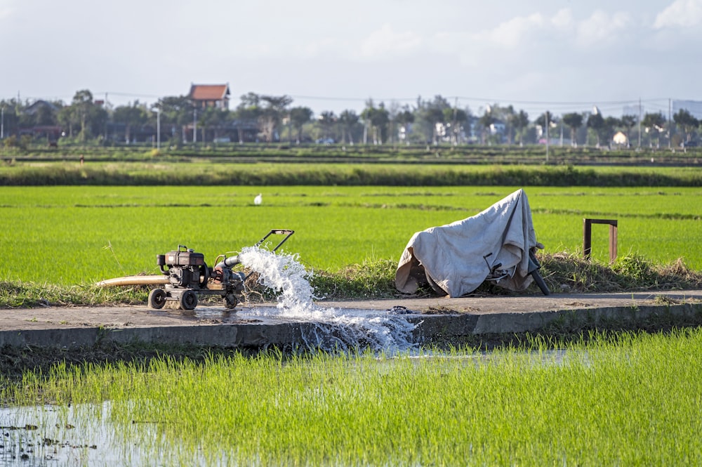 Un tractor está rociando agua en un campo de arroz