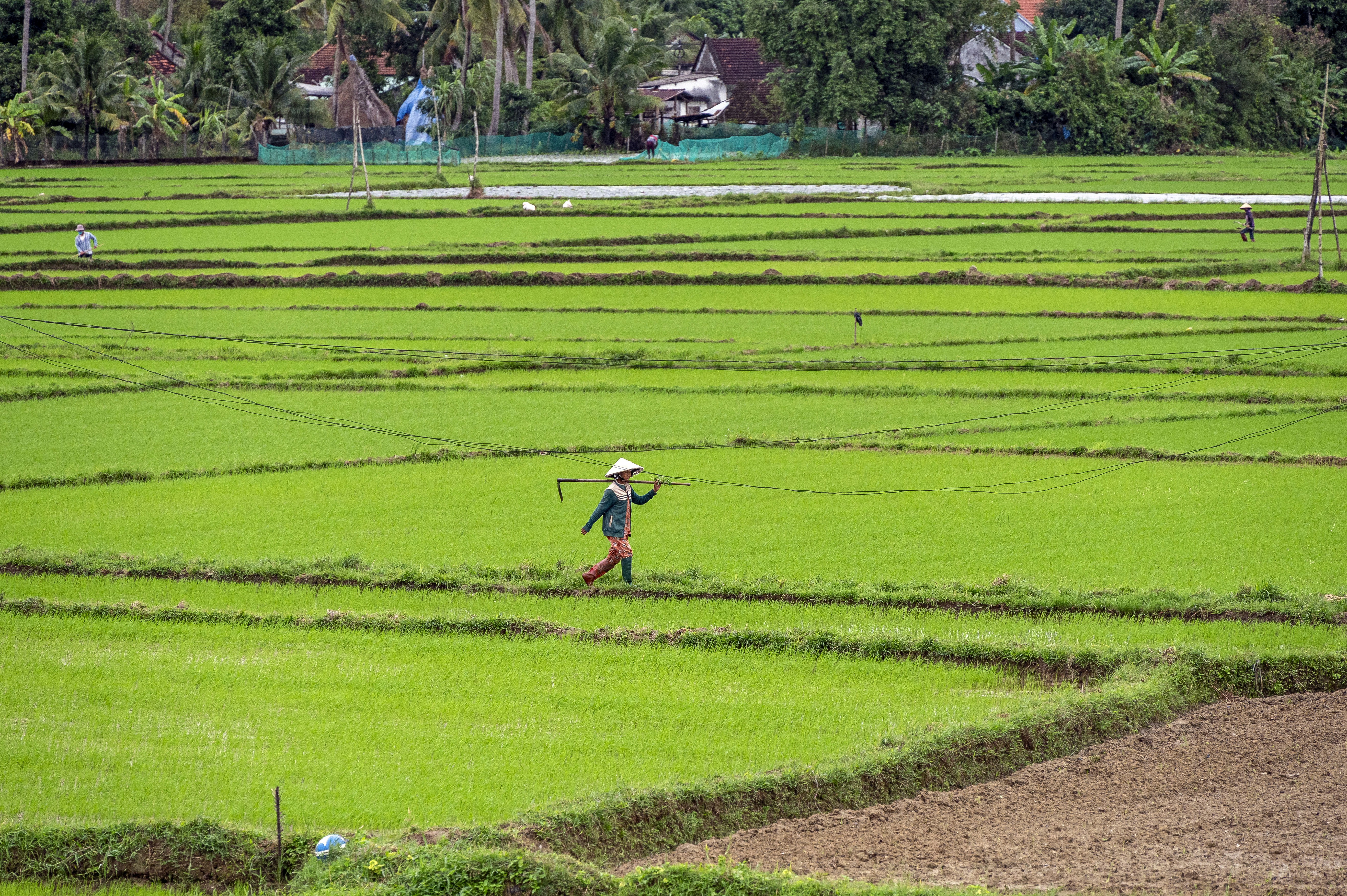 a man walking across a lush green field