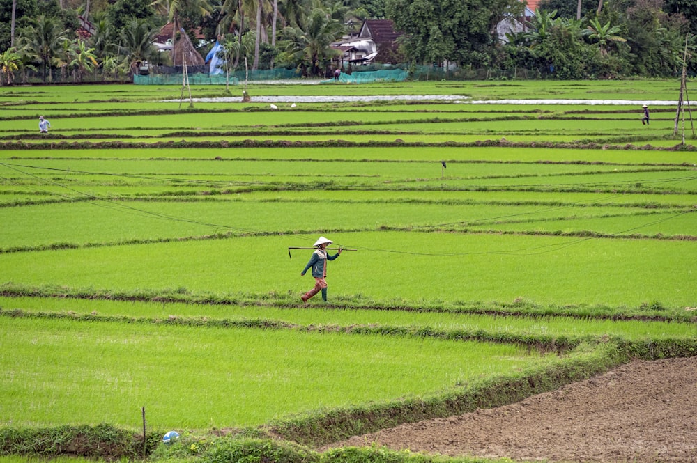 a man walking across a lush green field