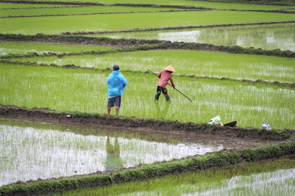 a couple of people that are standing in the grass