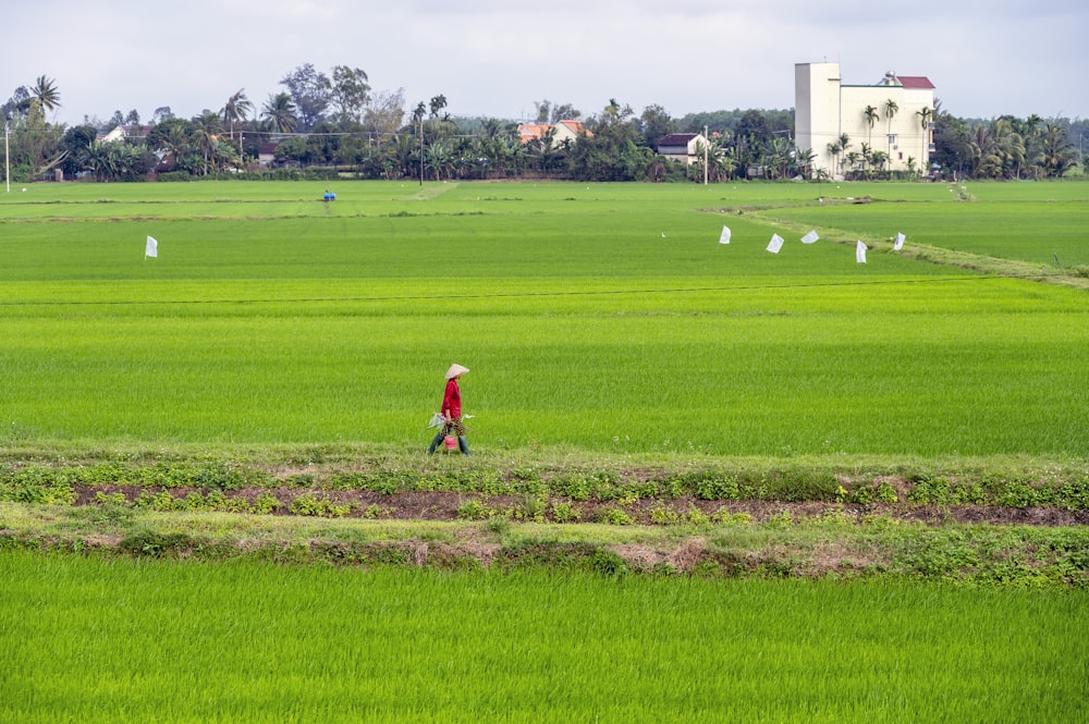 a person walking across a lush green field