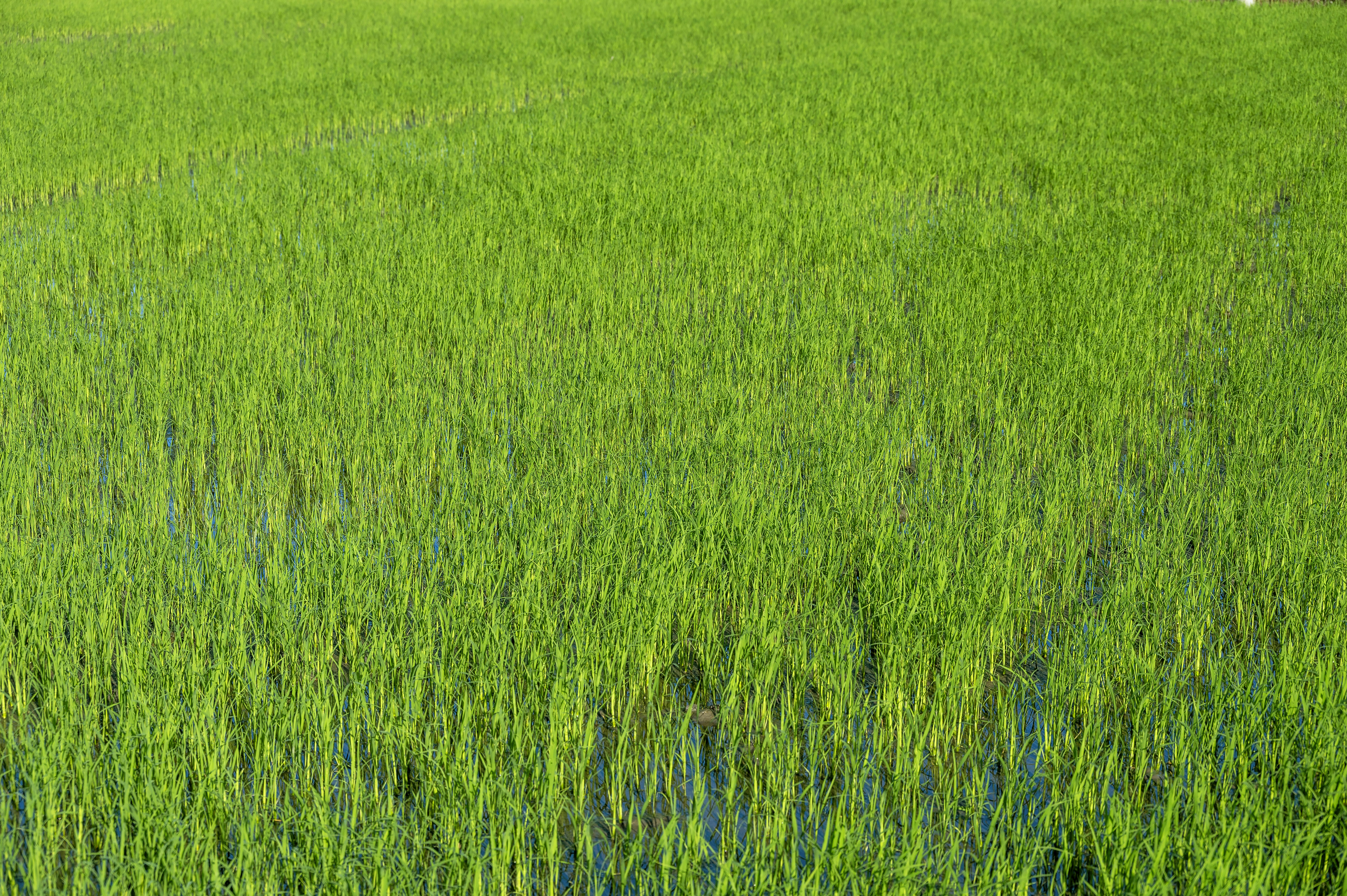 Photo by etiennegirardet