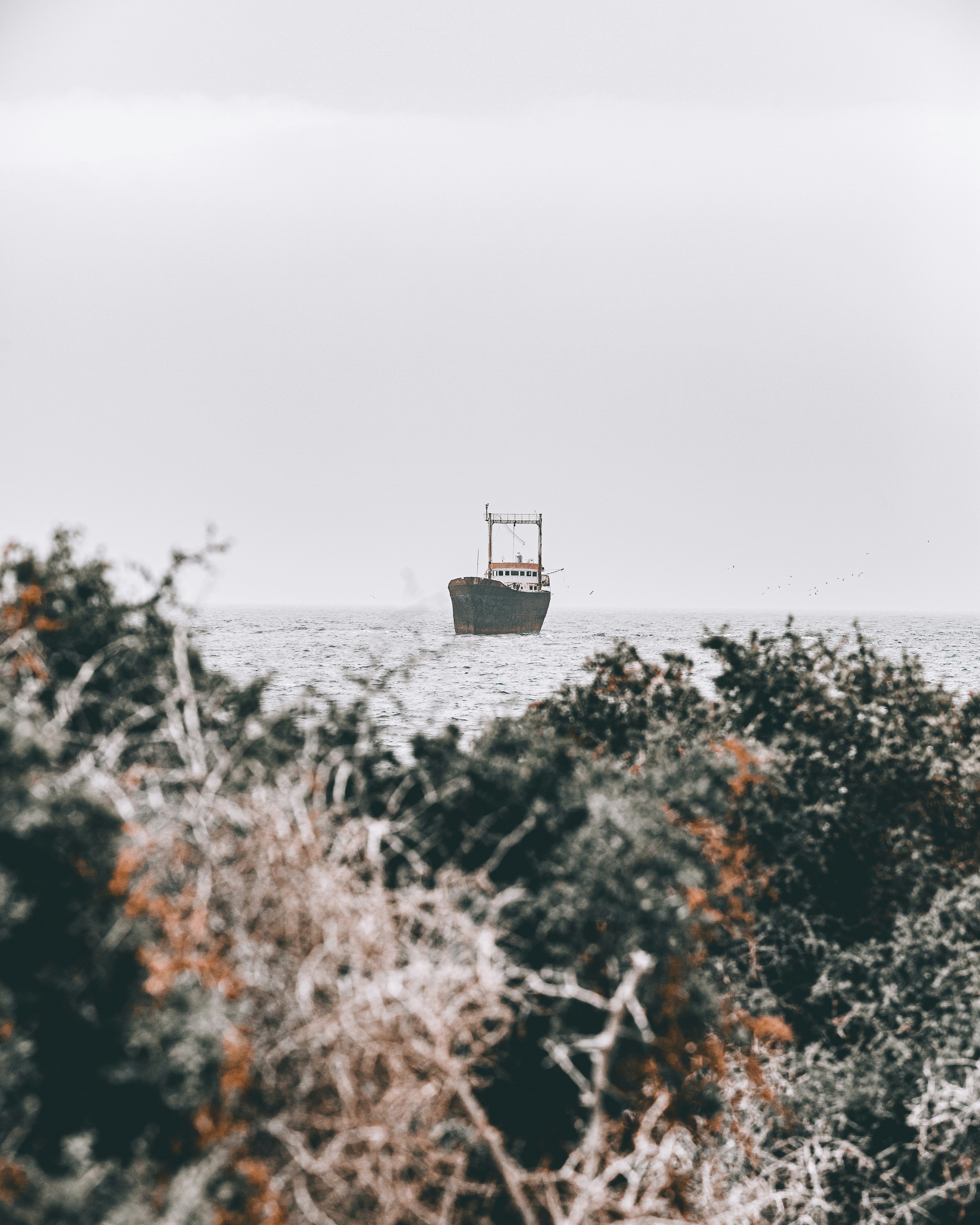 Photo by luke_photography