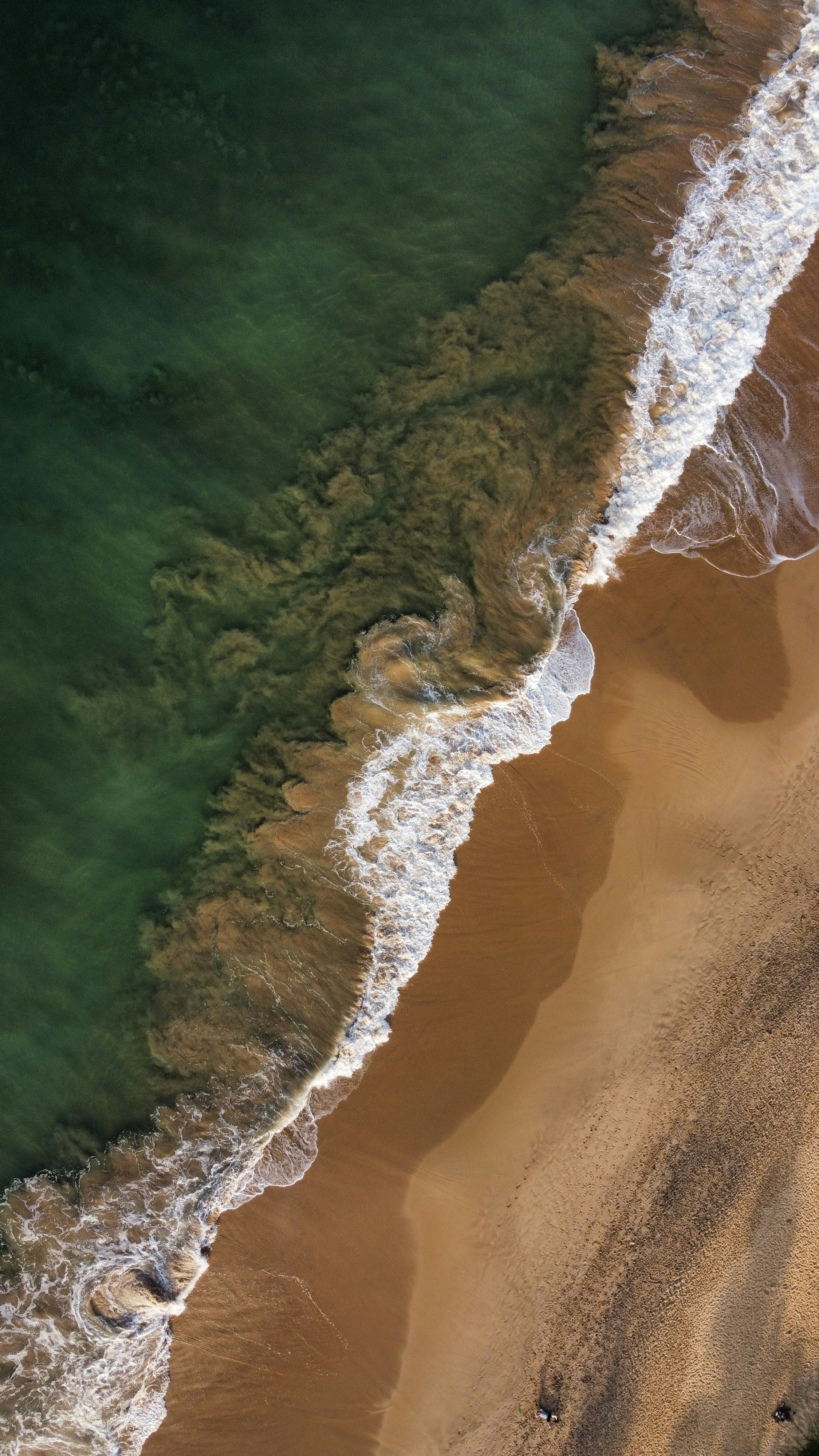 Photo by olga_bykova