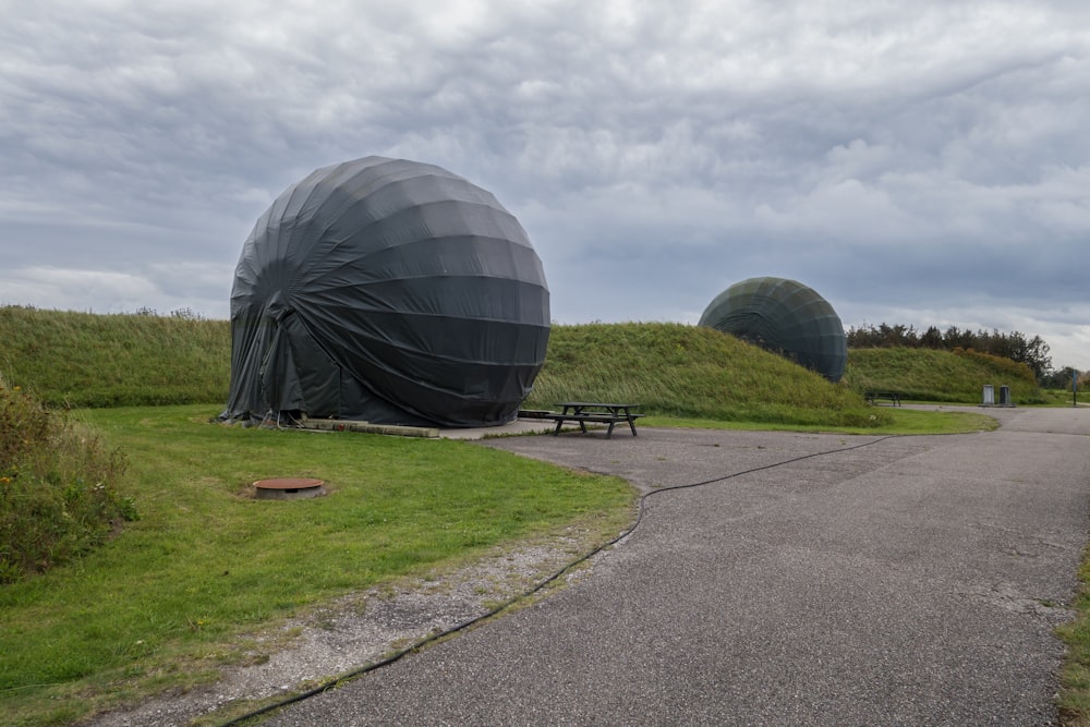 a couple of large balloons sitting on top of a lush green field